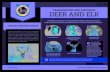 TRANSPORTING AND DISPOSING DEER AND ELK · 2019-09-13 · TRANSPORTING AND DISPOSING CHRONIC WASTING DISEASE DEER AND ELK Chronic wasting disease (CWD) can be transmitted from CWD