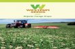 Organic Forage Crops - Western Seedswesternseeds.com/downloads/Organic-Forage-Crops-2020.pdf · Cover Crops Forage Grazing Rye Growing approximately 3 weeks earlier than Italian ryegrass,