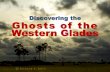 Discovering the Ghosts of the Western Glades...Cypress Swamp is generally 1-2 feet higher in elevation. So how is the Big Cypress Swamp distinct from the Everglades? Also, it has a