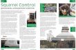 FEATURE Squirrel Control - Home - Pest24 pest January & February 2009 A major programme, the Red Squirrel Protection Partnership (RSPP), is working to control and manage the grey squirrel