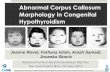 Abnormal Corpus Callosum Morphology in Congenital ... · Corpus Callosum Abnormalities Raybaud, C. (2010) Neuroradiol 52:447-477 PRESENTATION FROM THE 83rd ANNUAL MEETING OF THE AMERICAN