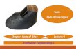 Footwear Engineering-I of shoe… · Moccasin shoe. Casual or slip-on shoe. 1. Vamp 1.Toe cap 2.Wing Cap 3.Vamp (Derby & Oxford) 1. Vamp 1.Integral tongue 2.Separate tongue. 1.Aprons