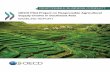OECD Pilot Project on Responsible Agricultural Supply ...mneguidelines.oecd.org/...Supply-Chains...Report.pdf · 1 The SEA Pilot is part of the ILO-EU-OED Responsible Supply hains
