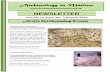 AIM Newsletter 2016 August draft 4 - Archaeology in Marlow ... · Volume 15 Issue No: 4 August 2016 AiM’sForthcoming Events NEWSLETTER Thursday 22nd September, ‘Putting Marlow