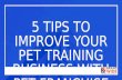 5 tips to improve your pet training business with Pet Franchise Software