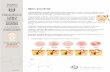 60 MINUTOS Skin Control - Ellementtiellementti.com.br/wp-content/uploads/2019/01/SKIN-CONTROL.pdf · Skin Control 10/2018 Comedões fechados Comedões Abertos Pápulas e Pústulas