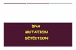 DNA MUTATION DETECTION - science.iautmu.ac.irscience.iautmu.ac.ir/file/download/page/1583216014-.pdf · MITOCHONDRIAL DNA(MT DNA) mtDNA is a double stranded circular molecule. mtDNA