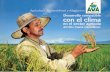 'HVDUUROOR FRPSDWLEOH · Proyecto AVA: hacia la adaptación en la Cuenca Alta del Río Cauca a través de un análisis de vulnerabilidad Tras reconocer el deterioro ambiental y la