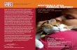 MONTREAL’S SPCA 2012 ANNUAL REPORT€¦ · protect animals and make Montreal a community that is truly animal-friendly. We will update our animal shelter and take every opportunity