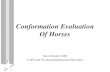 Conformation Evaluation Of Horsesblogs.unpad.ac.id/.../Horse-Conformation-Evaluation... · Conformation Evaluation-Purpose Purpose of evaluation (judging) is to identify and breed