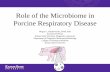 Role of the Microbiome in Porcine Respiratory Disease · that literally share our body space” ... (Bouchie, 2016) “Swine Microbiome” ... (Giloteaux et al., 2016) Gut-lung axis
