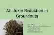 Aflatoxin Reduction in Groundnuts · Co-ops assure quality, ship directly to processors. Processors (speedy roasting packaging and retesting final product) Certified Aflatoxin Safe