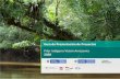 Pilar Indígena Visión Amazonía 2020 · PDF file proyectos que se presenten, los cuales se encuentren técnica y presupuestalmente sustentados, en virtud al enfoque diferencial étnico