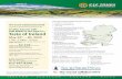 Taste of Ireland - South Shore Senior News...DUBLIN Cliffs of Moher KILLARNEY Blarney Ring of Kerry Galway Shannon BUNRATTY Connemara Start City Overnight Stops End City Cashel This