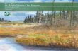 Our vision of forests for seven generations is a mosaic of ... · Our vision of forests for seven generations is a mosaic of healthy forest ecosystems within a landscape of rural