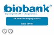 UK Biobank Imaging Project Steve Garratt · The Imaging Working Group Members Sir Rory Collins, Principal Investigator and CEO UK Biobank Professor Paul Matthews, Head of Division