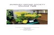 BUNBURY ORCHID SOCIETY Orchid Talk - Enjinfiles.enjin.com/315614/Norm/Orchid talk/March 2016 Orchid...The Monthly Publication of the Bunbury Orchid Society February 2016 Next Meeting