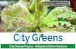 Simplifying Urban Farming - Hydroponics Hobby Trn.pdf · systems and ﬁeld work exercises relevant to rouFne chores of a hobby gardener. Soilless Grow Bags Floating Raft System Nutrient