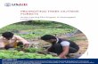 PROMOTING TREES OUTSIDE FORESTS - Climatelinks · 2018-02-26 · In the Hoshangabad landscape, Forest-PLUS developed a program on Trees Outside Forests (TOF). This report documents