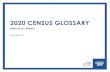 2020 CENSUS GLOSSARY · PDF file 2020-06-23 · 2020 CENSUS GLOSSARY – ENGLISH TO ARABIC U.S. Census Bureau – Issued: 08/01/19 1. General Terms . English Arabic. 2020 Census 2020.