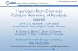 Hydrogen from Biomass - CHERIC · 2004-10-01 · Hydrogen from Biomass Catalytic Reforming of Pyrolysis Vapors 2004 DOE Hydrogen, Fuel Cells & Infrastructure Technologies Program