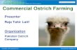 Commercial Ostrich Farming Farming.pdf · Ostrich Farming in Pakistan • Ostrich are reared from 20 years in Pakistan • Mostly in Zoo • Commercially started in 1998 • Company