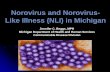 Norovirus and Norovirus- Like Illness (NLI) in Michigan · viral particles per gram of feces Infectious dose: 18–1,000 virus particles Less than 20 virons (virus particles) can