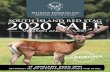 SOUTH ISLAND RED STAG 2020 SALE - tradedeer.co.nz · • Churchill - continues to be ranked NO. 1 English stag for W12eBV for 7 years running. This year we have several of his quality