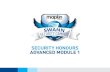 SECURITY HONOURS ADVANCED MODULE 1 - swann.com€¦ · SECURITY HONOURS ADVANCED MODULE 1 GLOSSARY OF HONOURS TERMS Network: A computer network or data network is a telecommunications