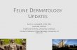 Feline Dermatology Updates - isvma.orgalopecia) Feline Paraneoplastic Alopecia • Diagnosis • Rule out other diseases (thyroid and adrenal function tests) • Skin biopsies: miniaturization