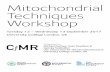 Mitochondrial Techniques Workshopmitochondria.cs.ucl.ac.uk/cfmr/wp-content/uploads/2017/0… · mitochondria as the cellular engines may be affected by RKIP. Indeed, electron microscopy