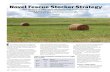Novel Fescue Stocker Strategy - feedingandfeedstuffs.info€¦ · It is estimated that fescue toxicosis costs U.S. livestock producers more than $600 million each year in lost production.
