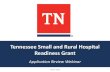 Tennessee Small and Rural Hospital Readiness Grant...operational metrics. Financial Indicators • Unrestricted Cash and Bond Covenants should be expressed in dollars. • Other data
