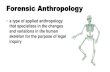 Forensic Anthropology - marandoscience.weebly.commarandoscience.weebly.com/uploads/2/3/7/6/23768555/... · Forensic Anthropology • a type of applied anthropology that specializes
