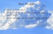 Bell Ringer - Hammer Science€¦ · Cumulus Clouds • Fair weather cumulus have the appearance of floating cotton and have a lifetime of 5-40 minutes. The word cumulus comes from