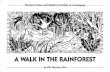 A Walk In The Rainforest - Teacher's Notes · 2008-08-20 · typica rainforest. 3. There are reasons for the destruction of the rainforests. Find out why it happens, and discuss With