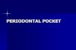 PERIODONTAL POCKET - sdcri.in · 2018-01-27 · Periodontal pockets are healing lesions as they result from the interplay of both the destructive and constructive tissue changes .Their