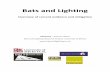 Bats and Lighting · 2006). Lighting around roosts has also been shown to delay emergence, causing bats to miss the peak in insect prey abundance (Downs. et al. 2003). 1.2 Aims and