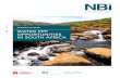 KOPANO YA METSI WATER PPP OPPORTUNITIES IN SOUTH … · This paper provides an overview of where the main opportunities for formal Public Private Partnerships (PPPs) are located in