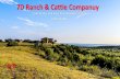 7D Ranch & Cattle Companuyimages.landsofamerica.com/imgs4/14/c1/02/7DListingPacket... · 2018-01-09 · 7D Ranch & Cattle Comany DESCRIPTION: 7D Ranch and Cattle Company is a premium