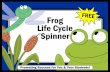 Frog Life Cycle Spinner - yonkerspublicschools.org...Frog Life Cycle Interactive Notebook Activity In this foldable science craftivity students will color and cut out a frog life cycle