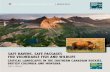 SAFE HAVENS, SAFE PASSAGES FOR ... - programs.wcs.org · Wildlife Conservation Society 301 North Willson Avenue Bozeman, Montana 59715. WCS Canada Conservation Reports: ISSN 1719-8941