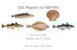 SSC Report to NEFMC - Amazon S3s3.amazonaws.com/nefmc.org/SSC-Report-to-NEFMC-Nov2015.pdf · •Peer review approved model; SSC divided on whether that was appropriate and how to