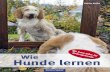 Wie Hunde lernen - Oertel + Spörer Verlag Büchershop · 2016-06-13 · Wie dieses Buch entstand Wie dieses Buch entstand 8 9 Wie dieses Buch entstand Ich bin mittlerweile seit vielen