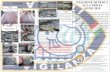 Trota fario STAGIONE DI PESCA MARMORATA ALLA TROTA · Federazione Italiana Pesca Sportiva e Attività Subacquee (F.I.P.S.A.S.) Viale Tiziano, 70 – 00196 Roma ASSOCIAZIONE SPORTIVA