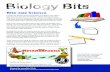 Ask A Biologist - Biology Bits - Metamorphosisaskabiologist.asu.edu/.../biology-bits/Biology-Bits-metamorphosis.pdf · Incomplete metamorphosis has three stages of growth. These stages