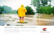 What’s your flood story?€¦ · Flood affects more than just what days you get to work from home and whether you should purchase rain boots. Everything from where and how a home