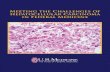 Meeting the Challenges of Hepatocellular Carcinoma in ... · at the Michael E. DeBakey VAMC, chief of the Gastroenterology and Hepatology Section at the Baylor College of Medicine,