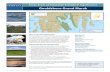 Focus Areas of Statewide Ecological Significance: …...dy beach areas, nearshore shallow waters, intertidal flats, and deep bay waters from the Gulf of Maine to the Gulf of Mexico.