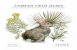 CAMPUS FIELD GUIDE - colorado.edu€¦ · CAMPUS FIELD GUIDE 8 bridge disciplines. We merge in this project arts, science and humanities in order to bring forward an innovative field